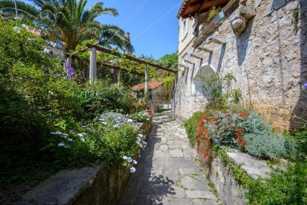Stella City Center Accommodation Dubrovnik Exterior photo