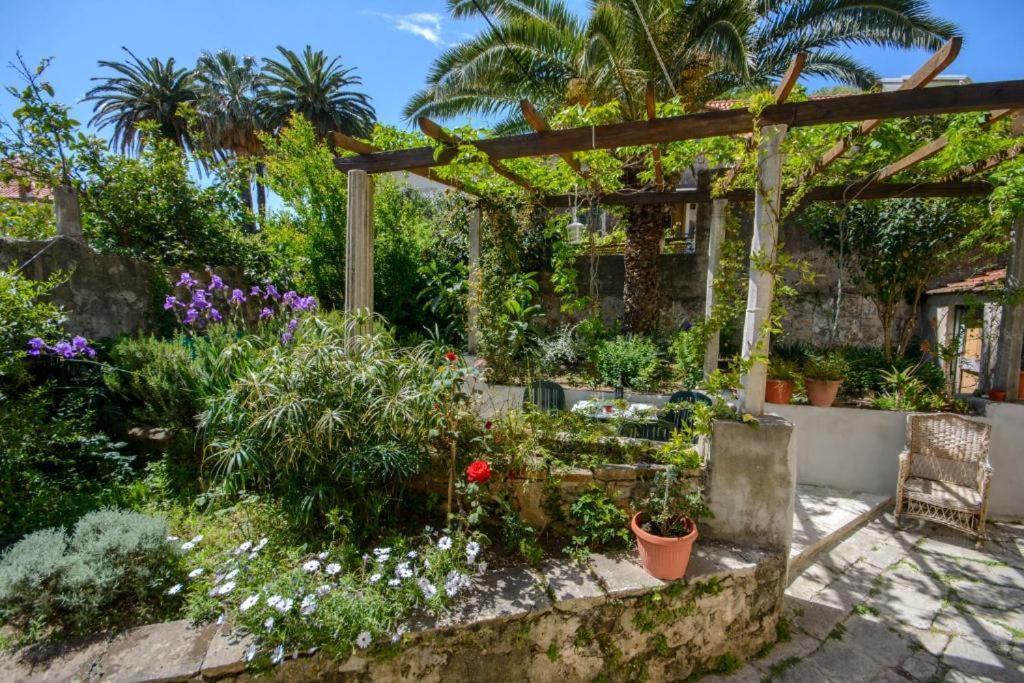 Stella City Center Accommodation Dubrovnik Exterior photo
